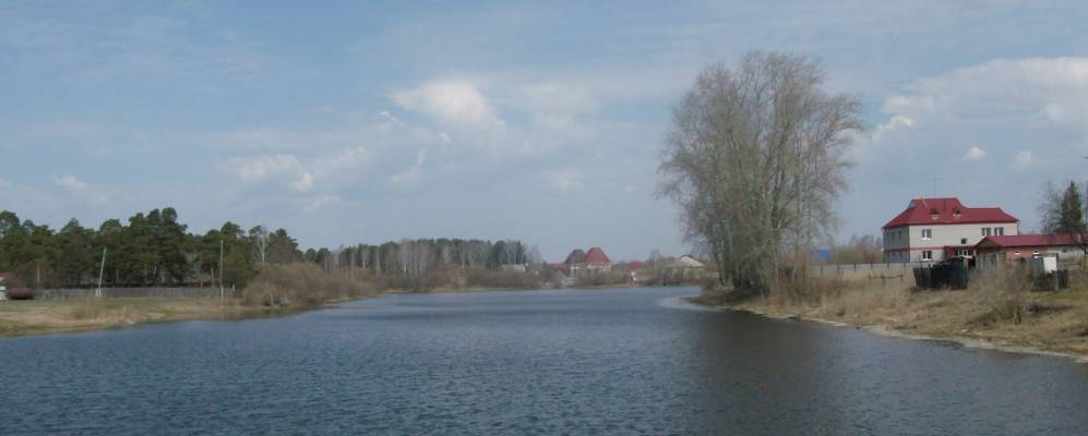 Фотография Падерины