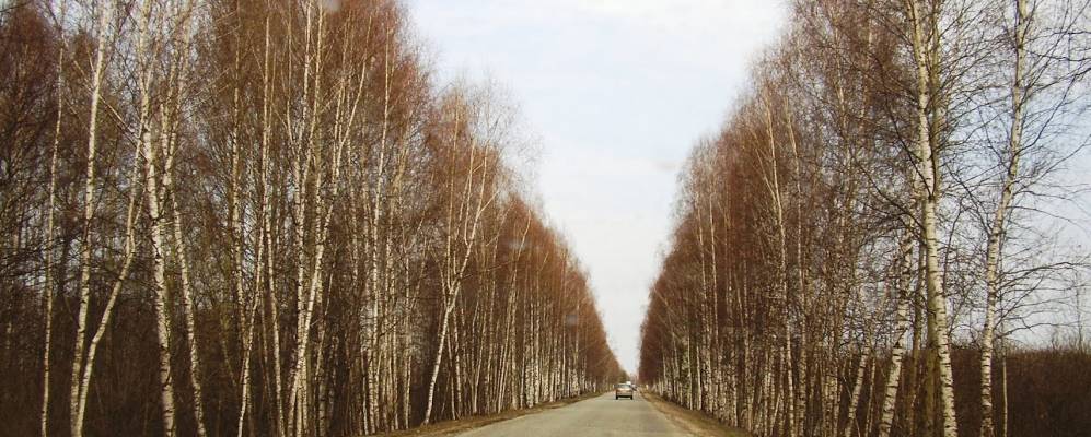 
            Фотография Войлоково