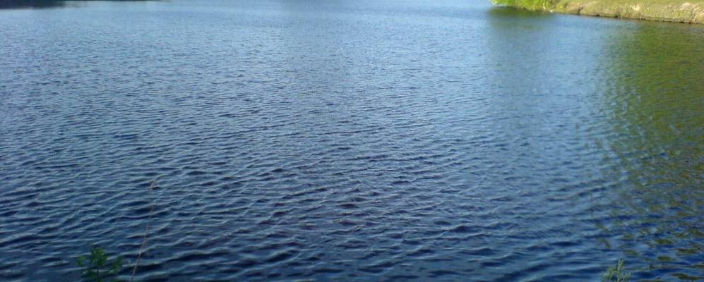 Фотография Кучерги