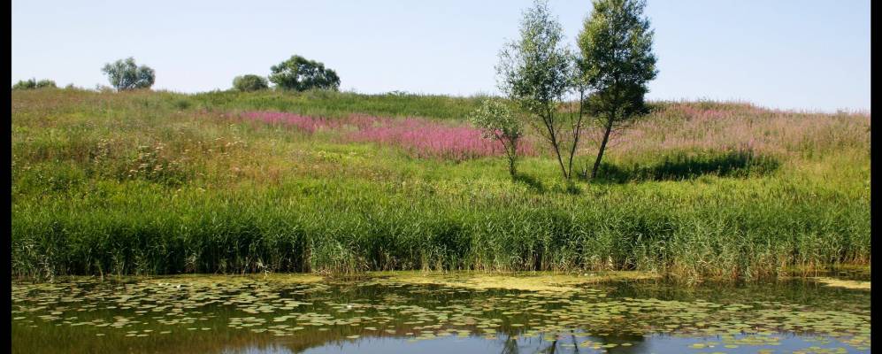 
            Фотография поселка Горки-Каменские