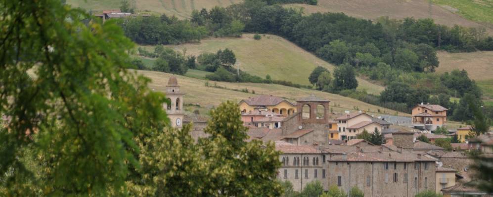 
            Фотография Траво