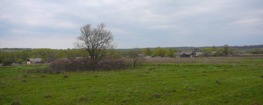 
            Фотография Лупиловки