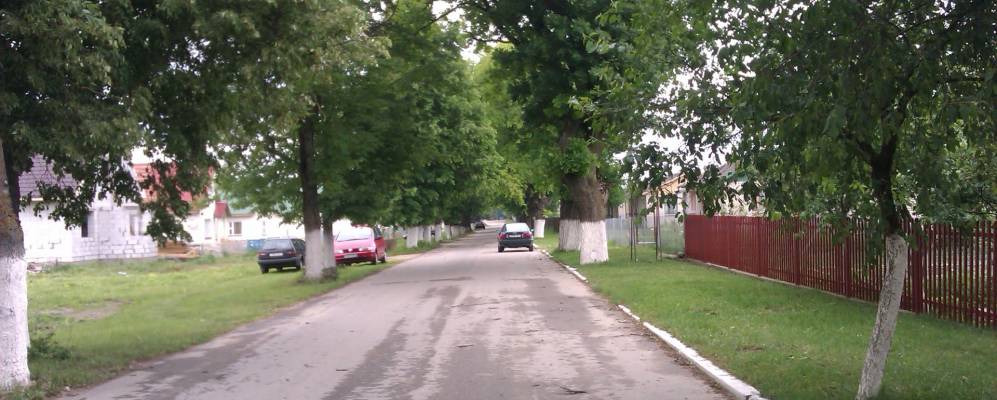 
            Фотография агрогородка Субочи