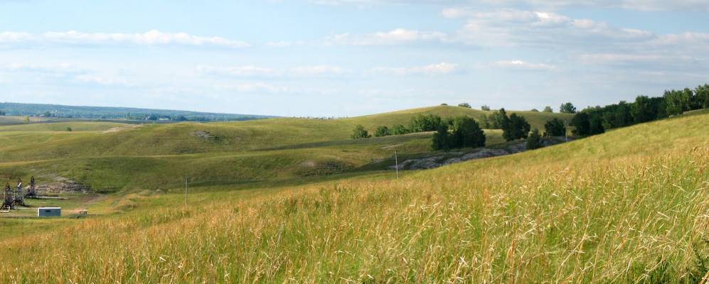 Фотография Муксино