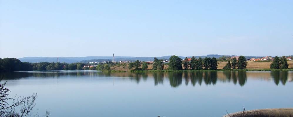 
            Фотография Добриша