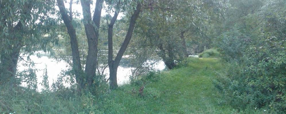 
            Фотография Вербицы