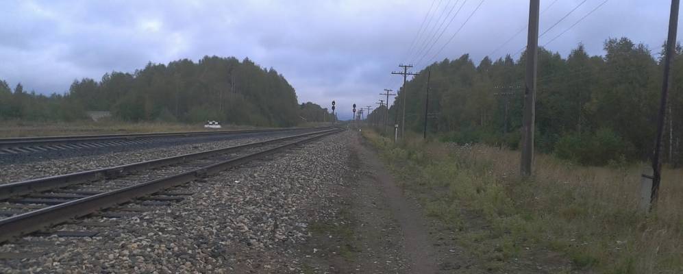 
            Фотография Синеги