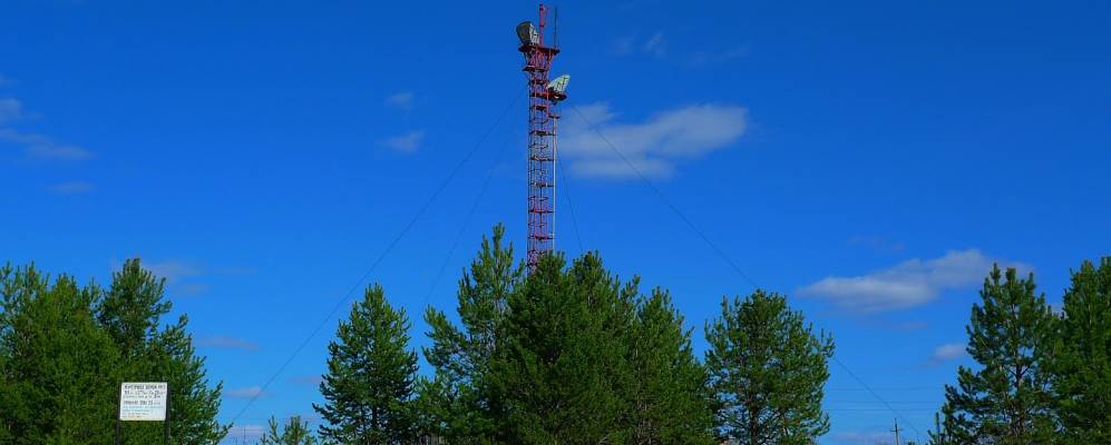 
            Фотография Кэмдина