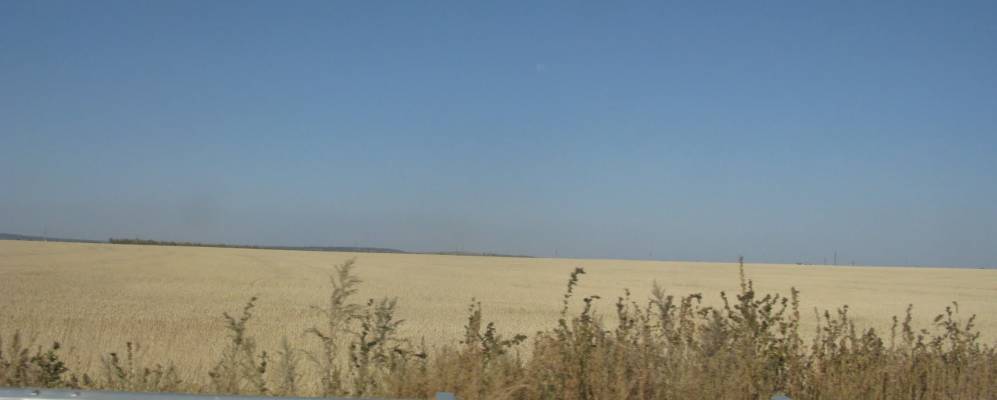 Фотография аула Домбыралы