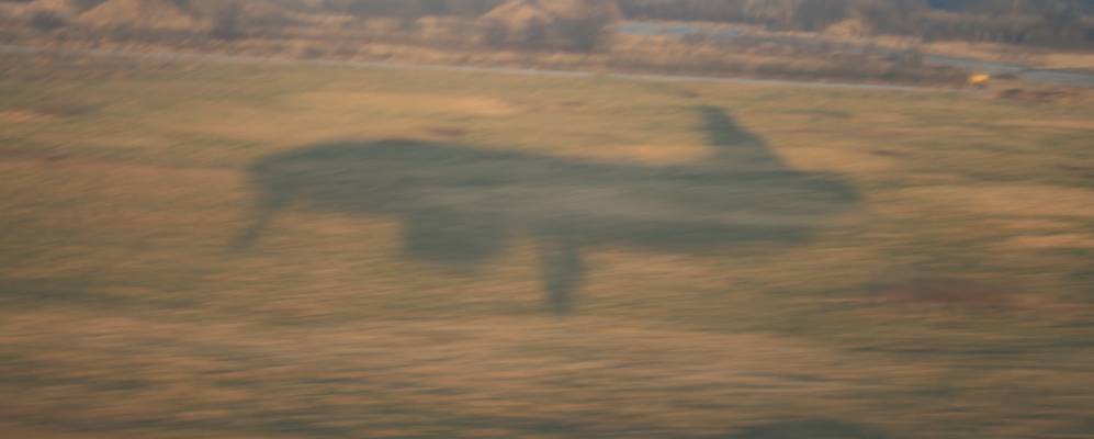 
            Фотография Дачного