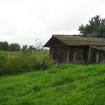 Петрово (Михалёвское сельское поселение)