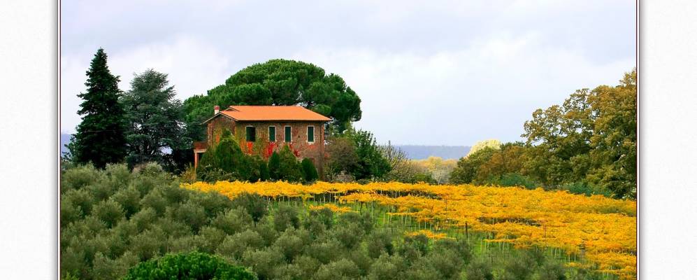 
            Фотография Гиулианелло