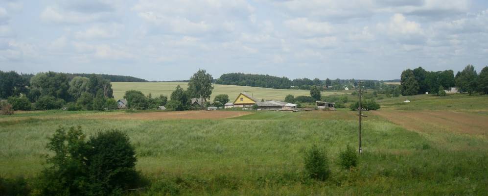 
            Фотография Синявщины