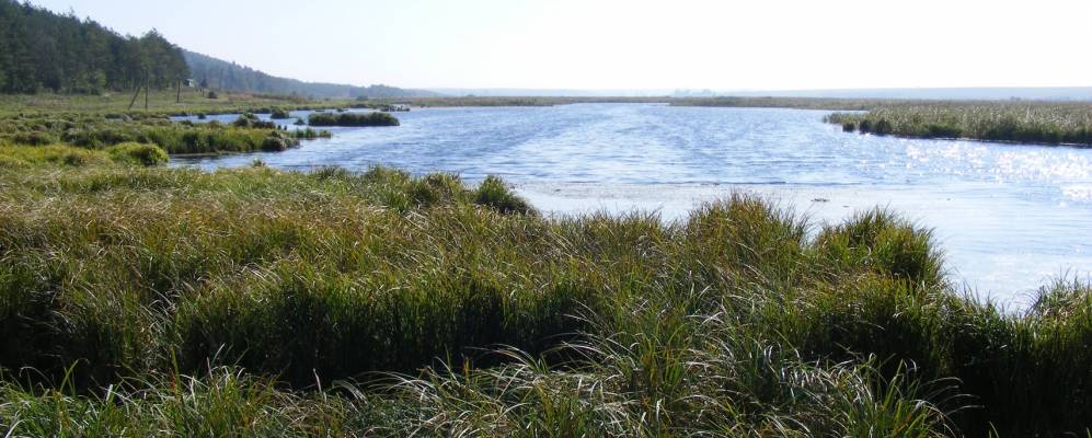 
            Фотография Ренева