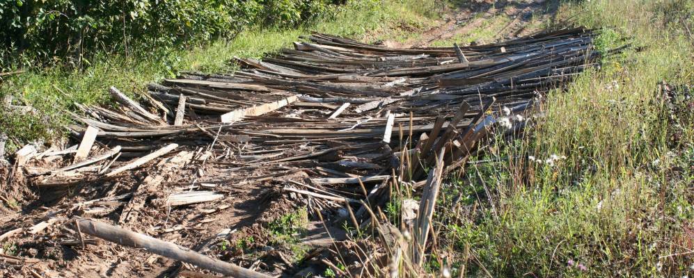 
            Фотография Подболотного