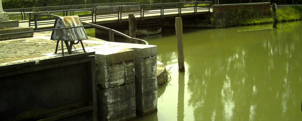 
            Фотография Миры