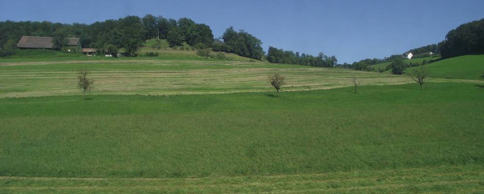 
            Фотография Ормалингена