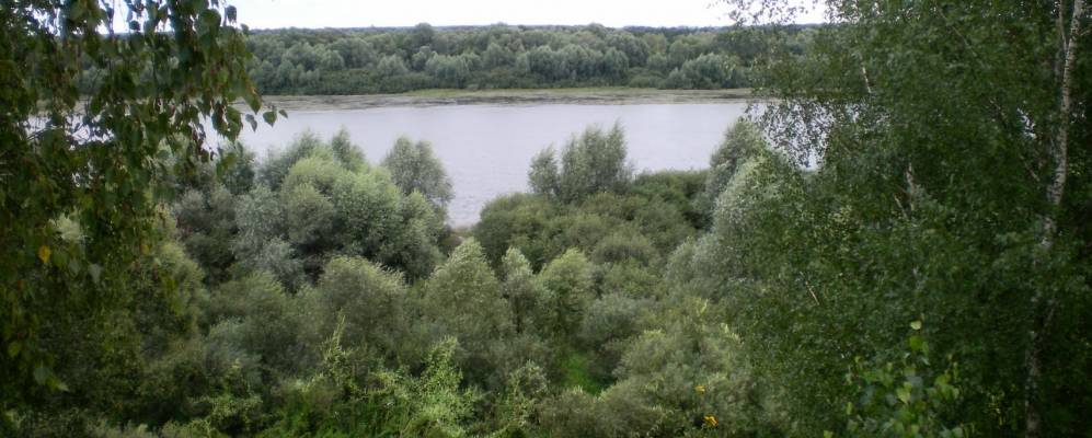 
            Фотография Бортниково