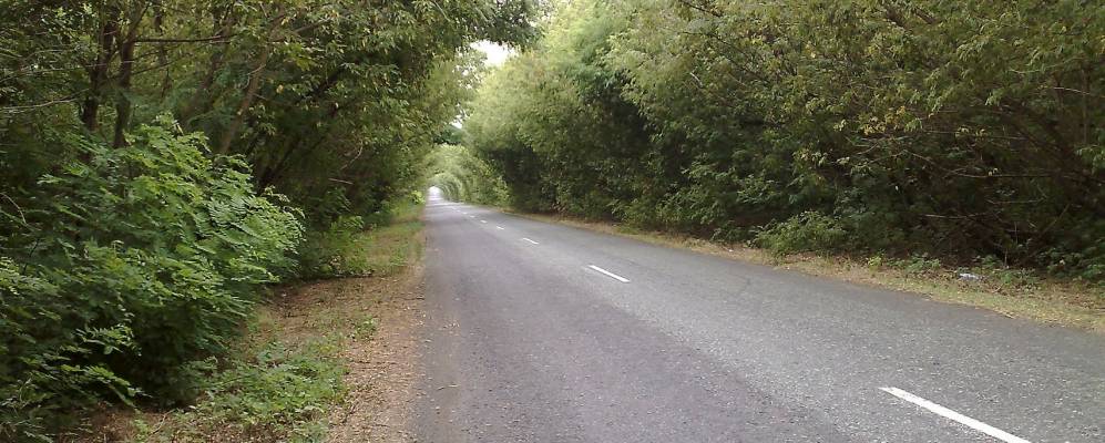 
            Фотография Зари