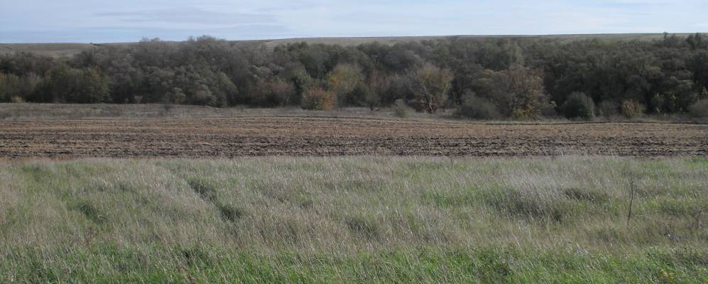 
            Фотография Висленки