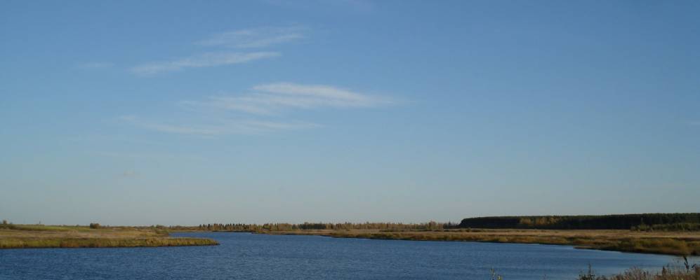 Фотография Золотухи