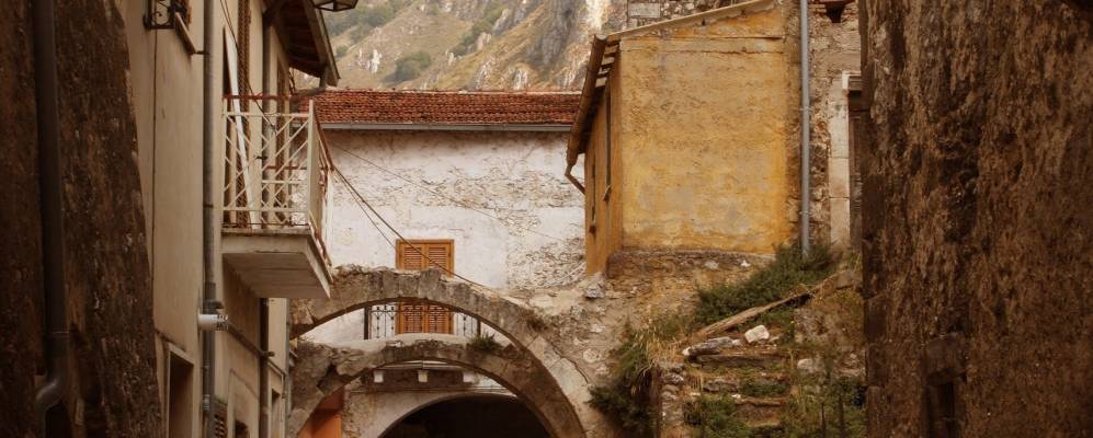 
            Фотография Тразакко