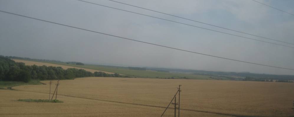 Фотография Гречаникова