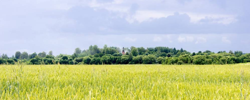 Фотография Бобровщины