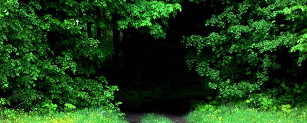 
            Фотография Сетухи