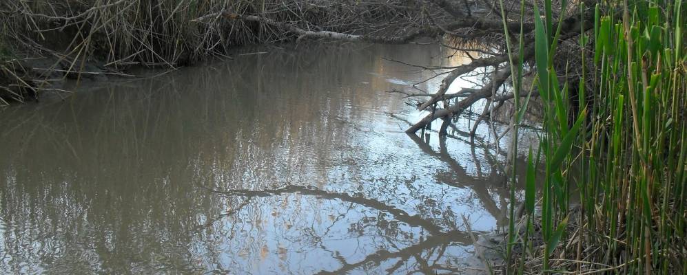 
            Фотография Карабаглов