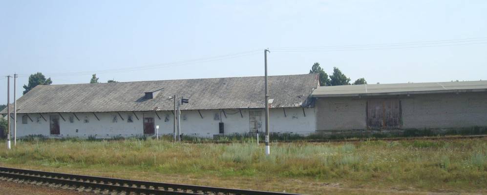 
            Фотография Скога