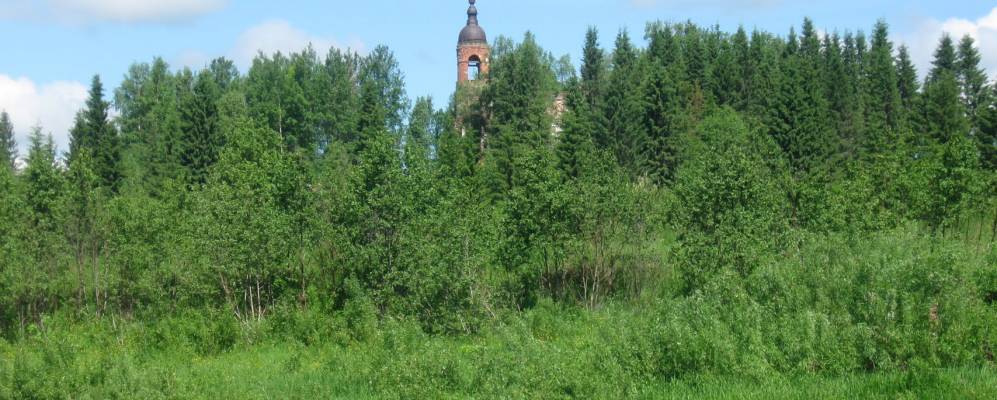 
            Фотография Федосихи