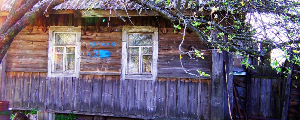 Фотография Видлина