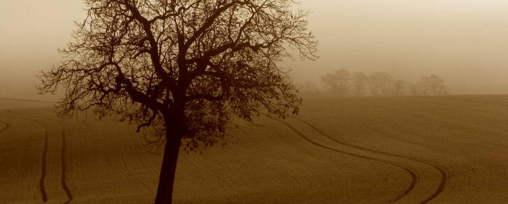 
            Фотография Гон-Понтувра