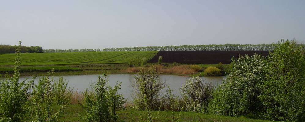 
            Фотография Попасного