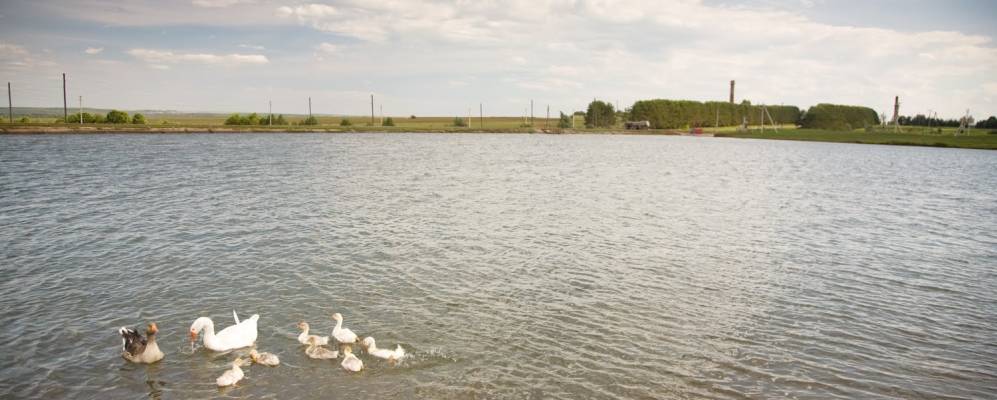 Фотография Иж-Байков