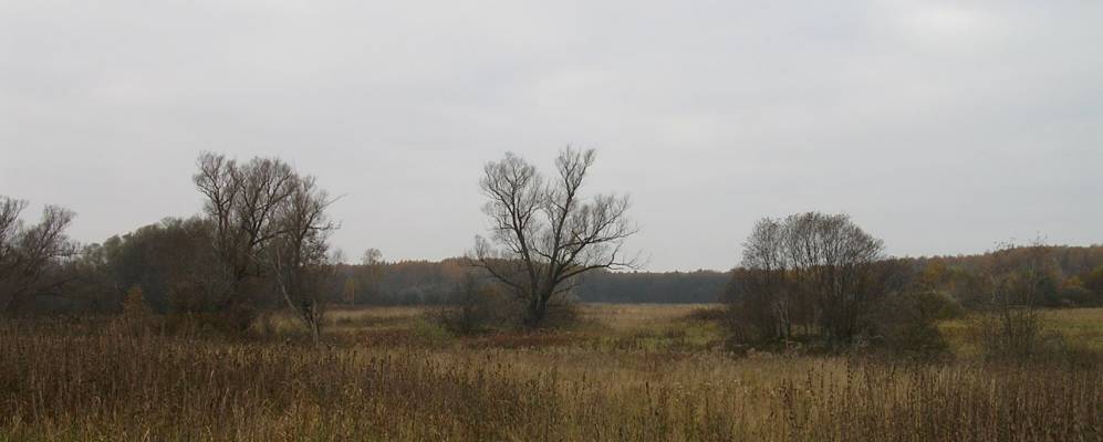 
            Фотография Некрасово