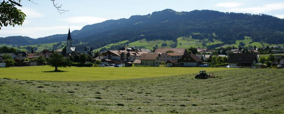 
            Фотография Плаффайена