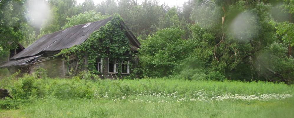 
            Фотография Зимниц