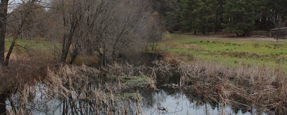 
            Фотография Приборска