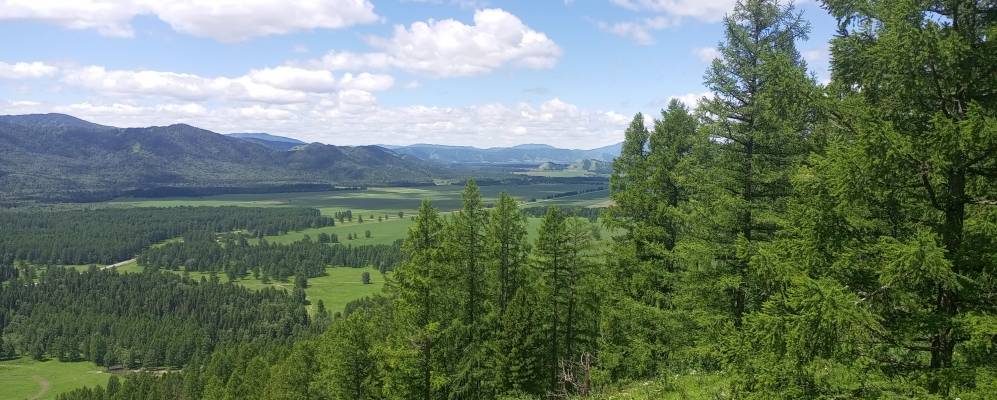 Фотография Юстика