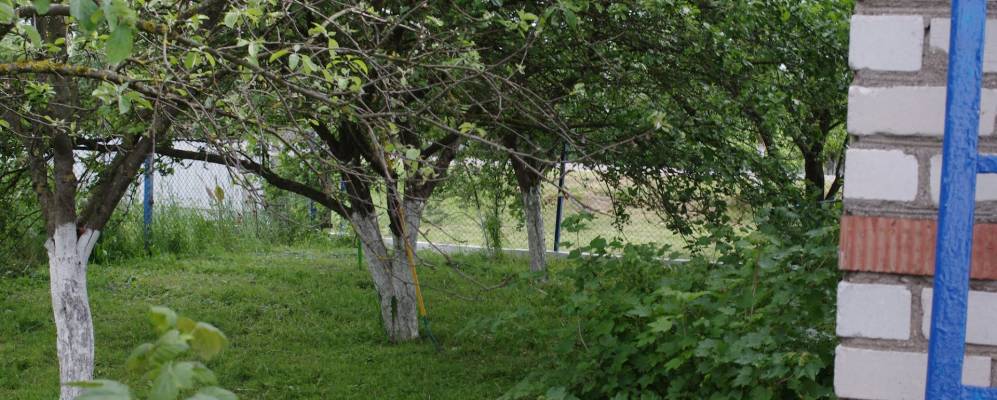 
            Фотография Лучиц