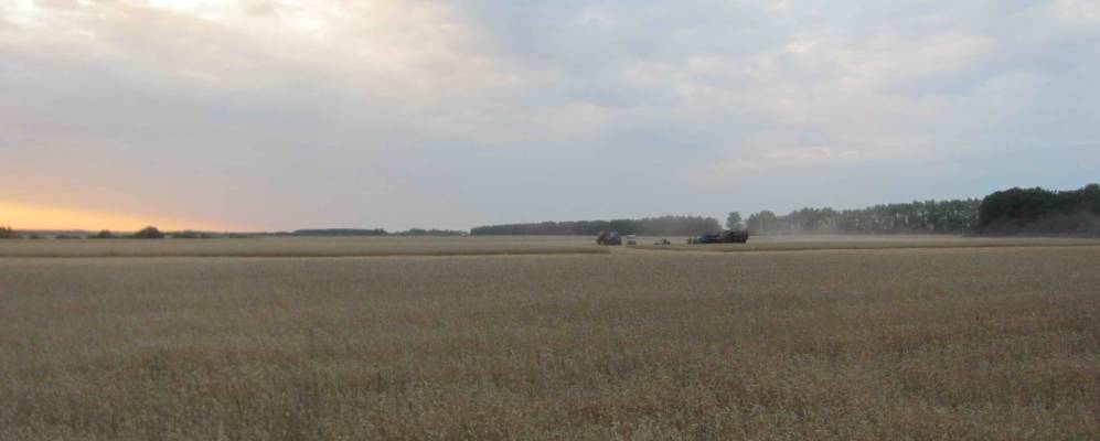 Фотография Дубового