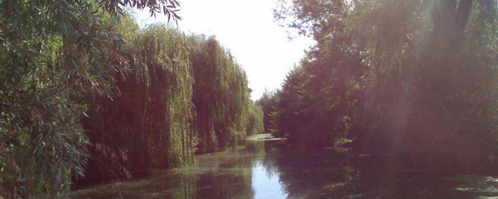 Фотография Подгорного