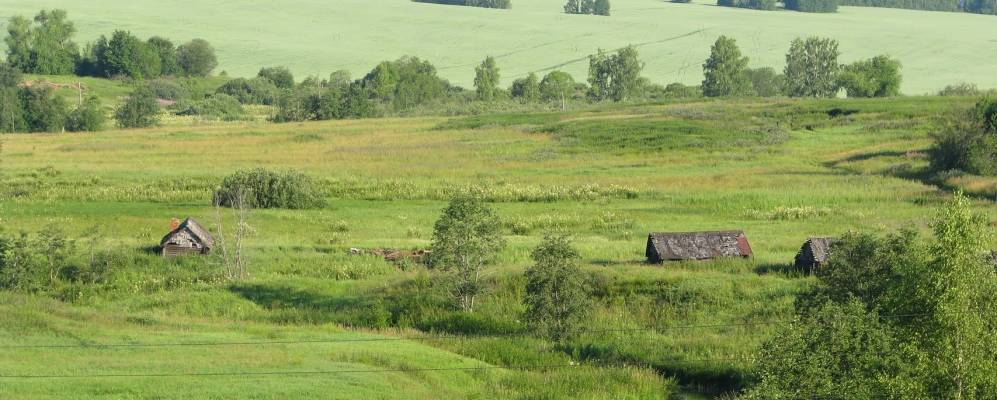 
            Фотография Гриденки