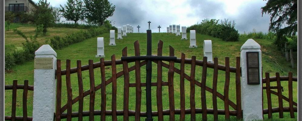 
            Фотография Тарьяна