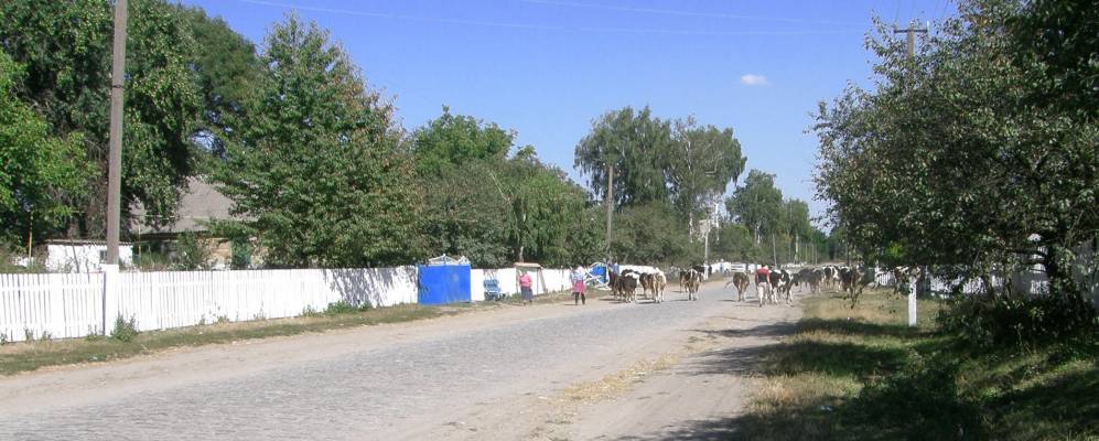 
            Фотография Борушковцы