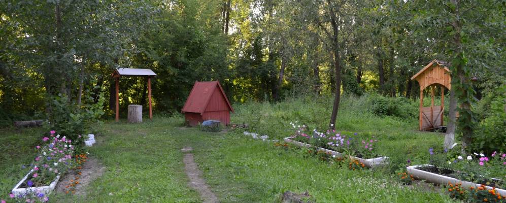 
            Фотография Лозового