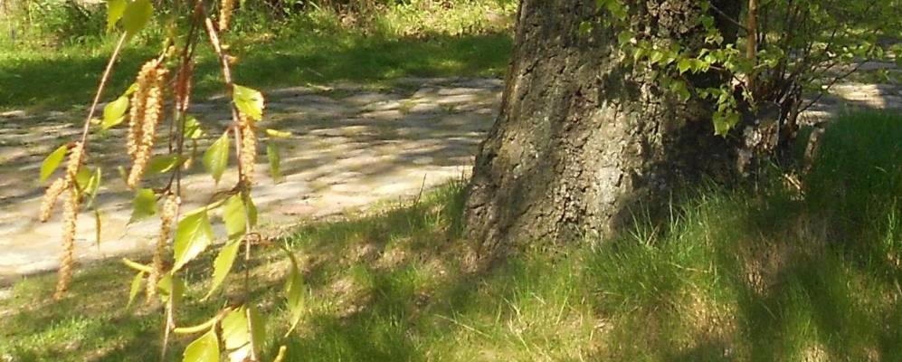 
            Фотография Фёдорово