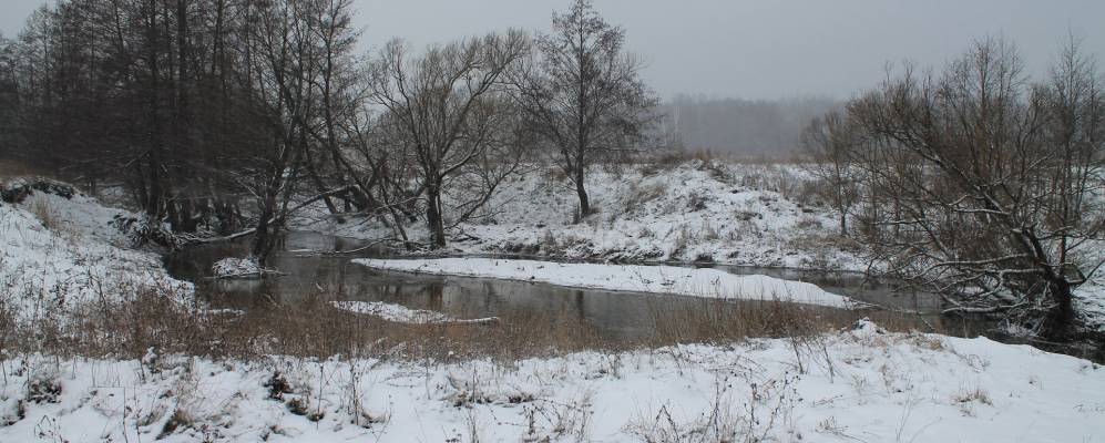 
            Фотография Песчанки